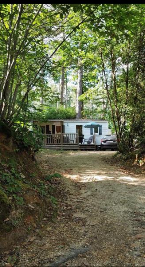 Tiny Sweet Home